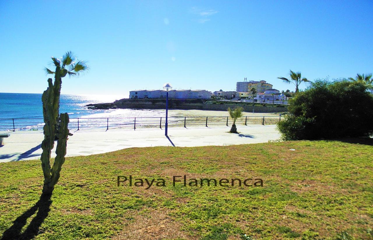 Apartment With Large Roof Solarium Dehesa de Campoamor  Zewnętrze zdjęcie